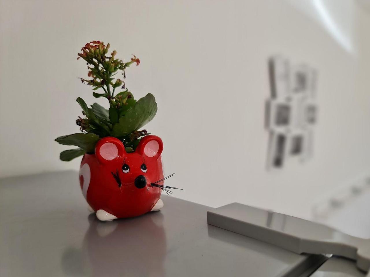 Eden Apartment