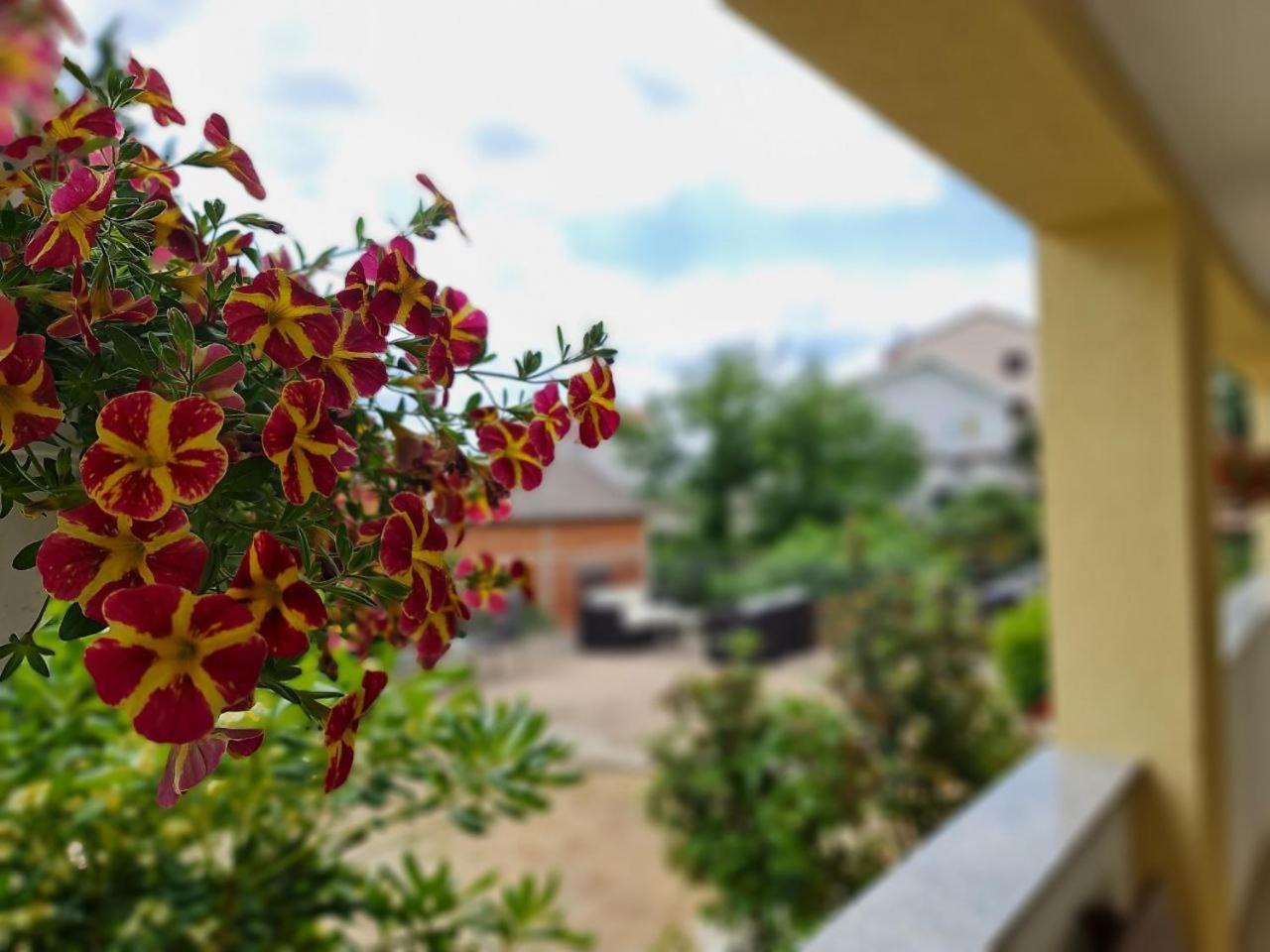 Eden Apartmán Kornić