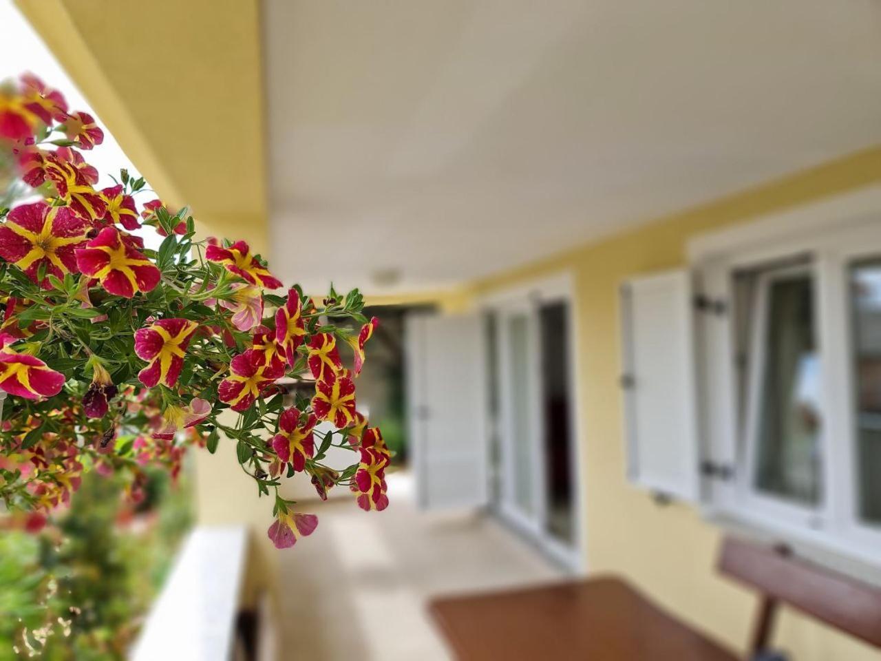 Apartmán Eden